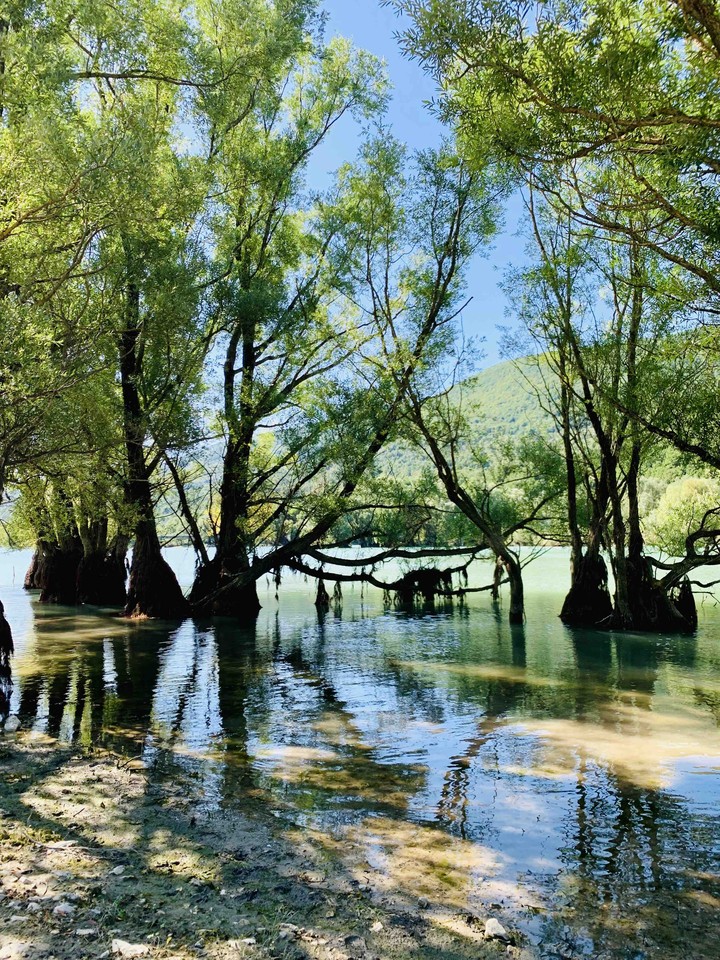 lago