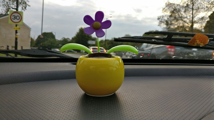 Solar Flower