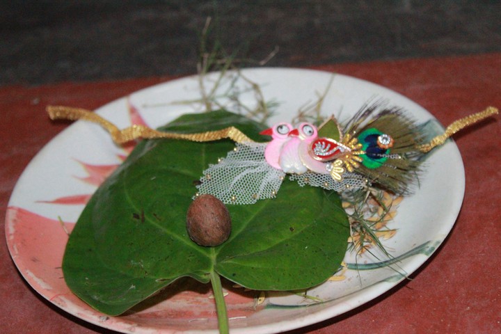 vaiduj