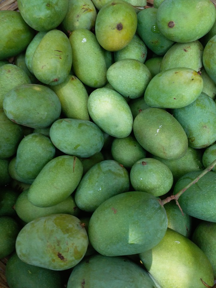 mangoes from my bagicha