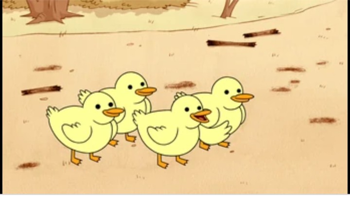 Baby Ducks