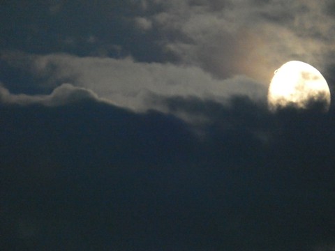 Moon
