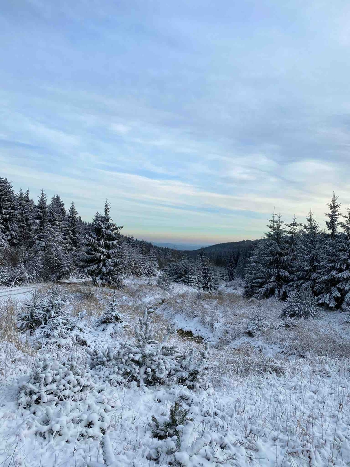 winter
