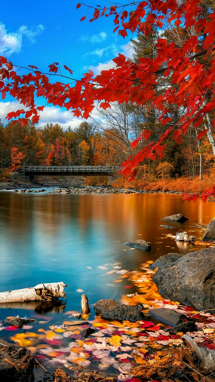 Telegram=@wallpapers_phone_pc