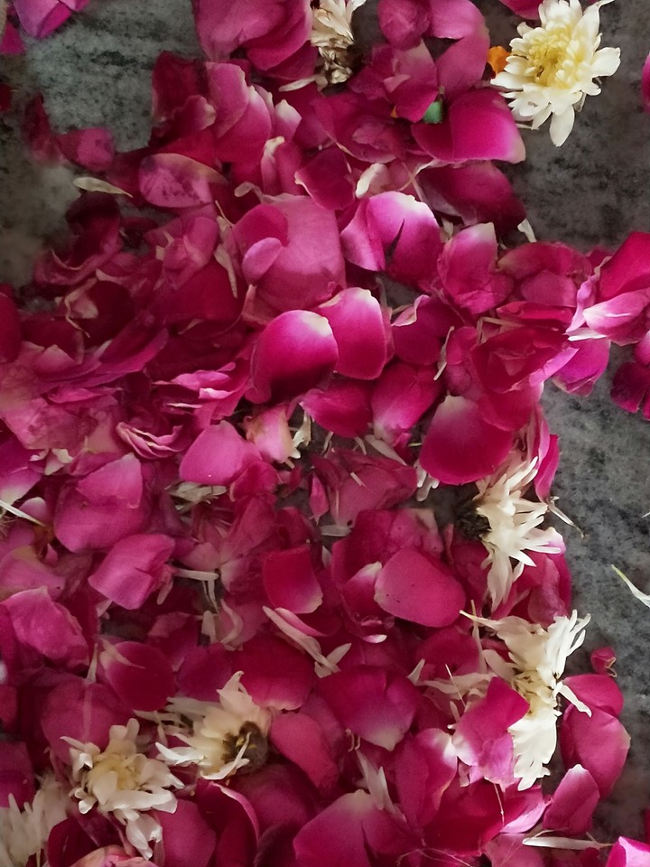 beautiful color of 