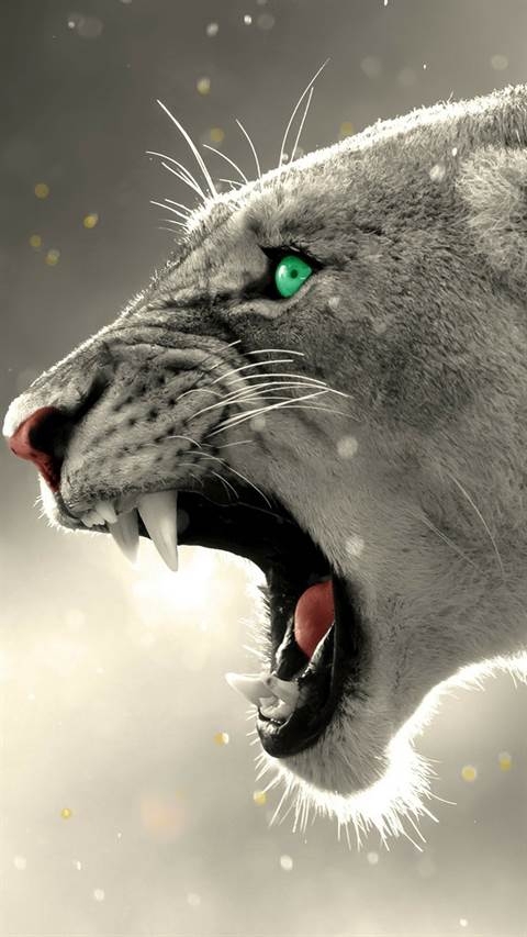 lion