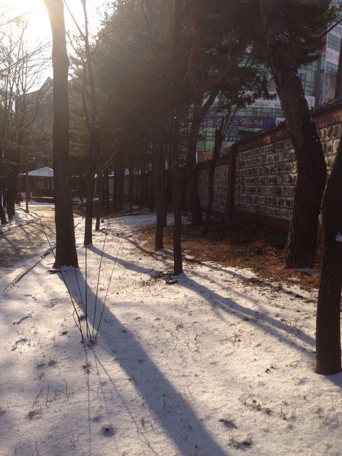 겨울