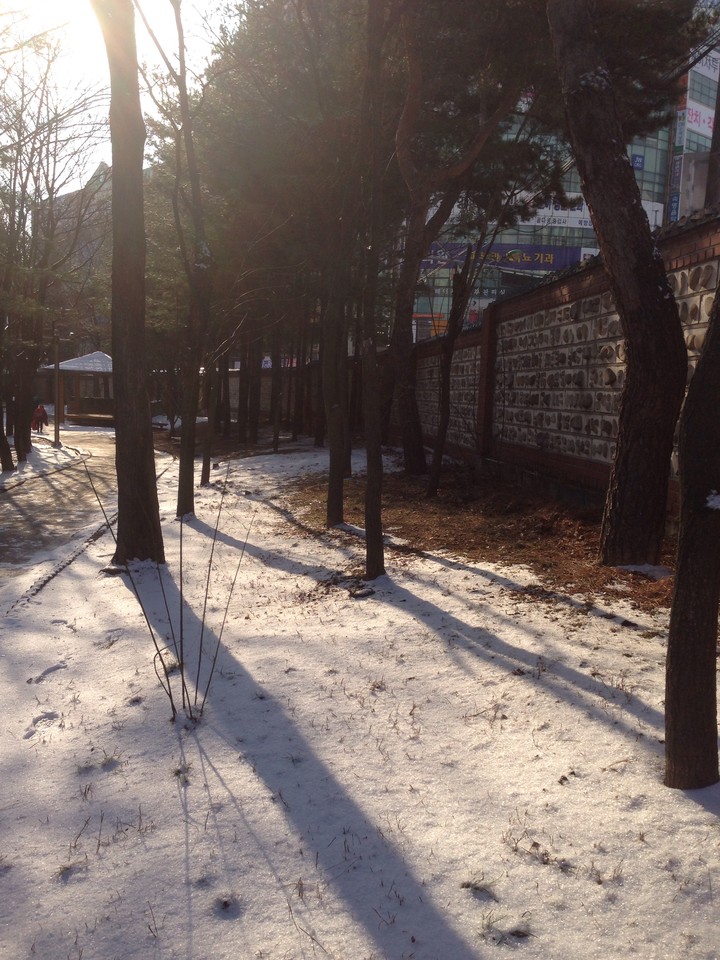 겨울