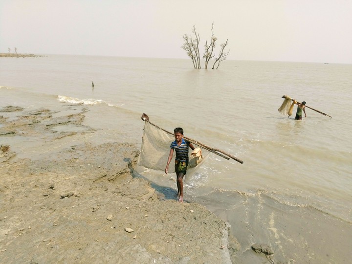মাছধরা শেষে বাড়িফেরা