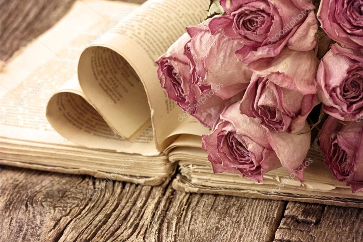 Love book