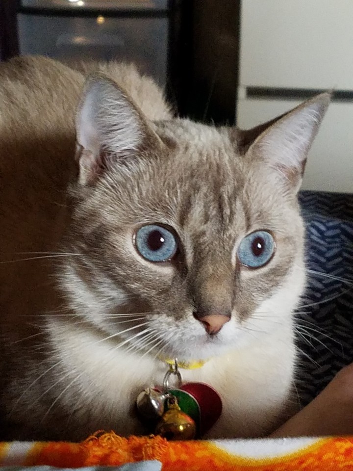 Nina