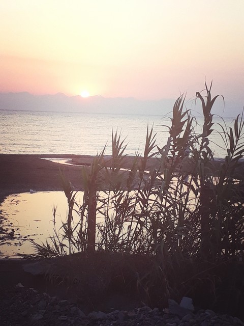 sea and sun