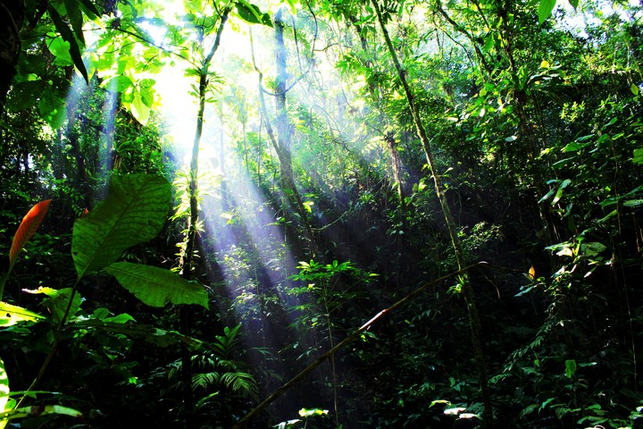 Nature