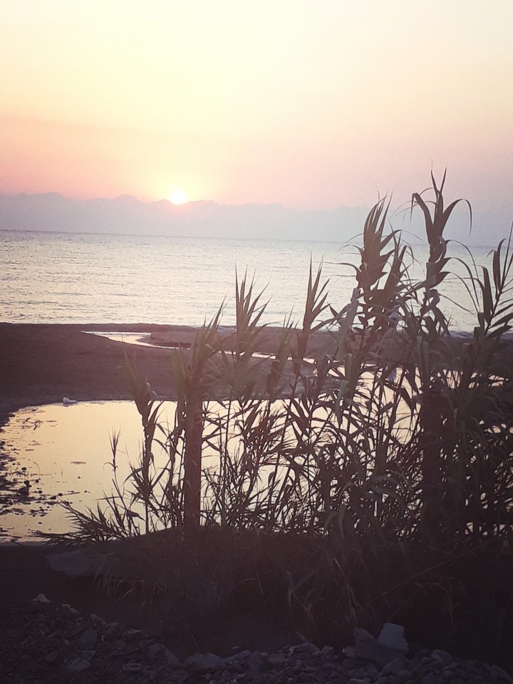 sea and sun