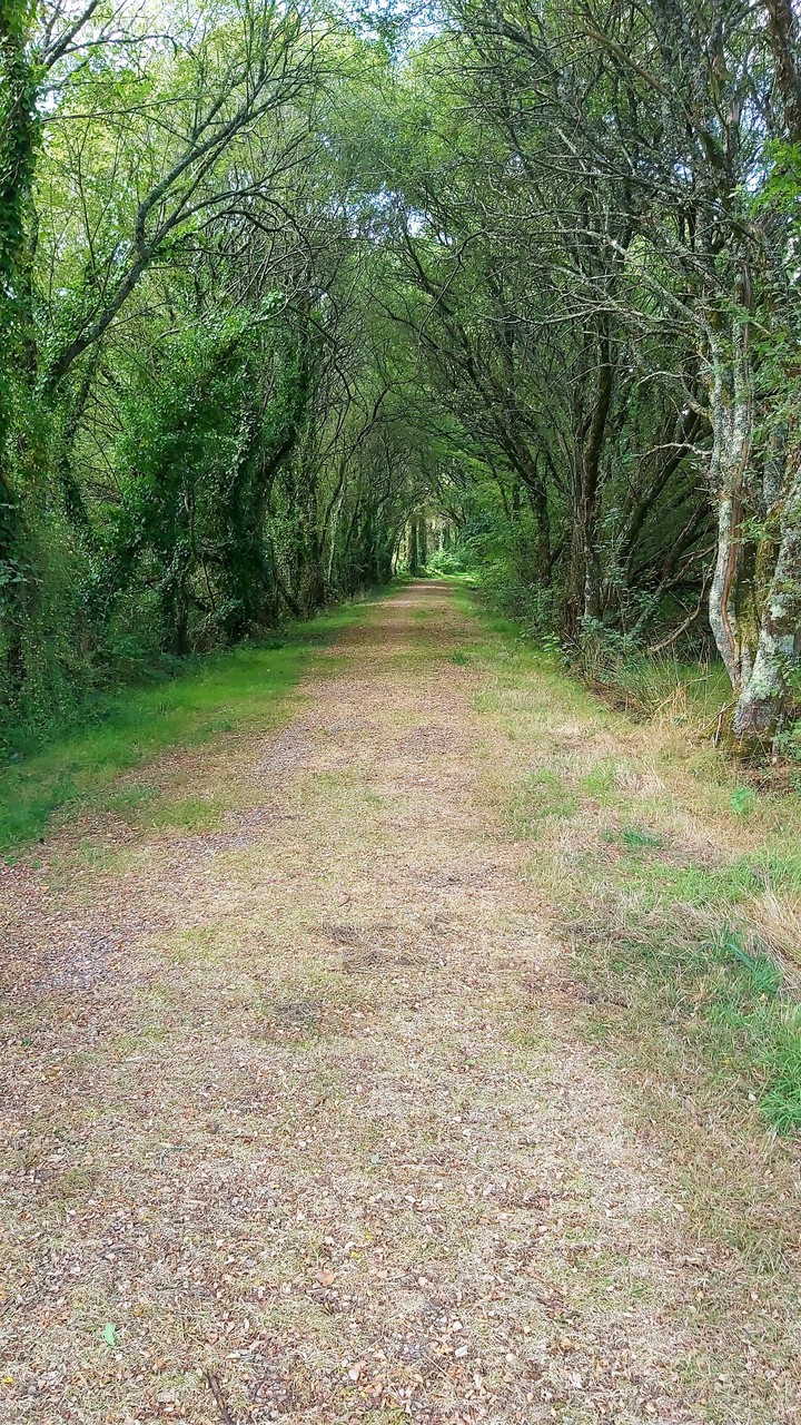 Chemin
