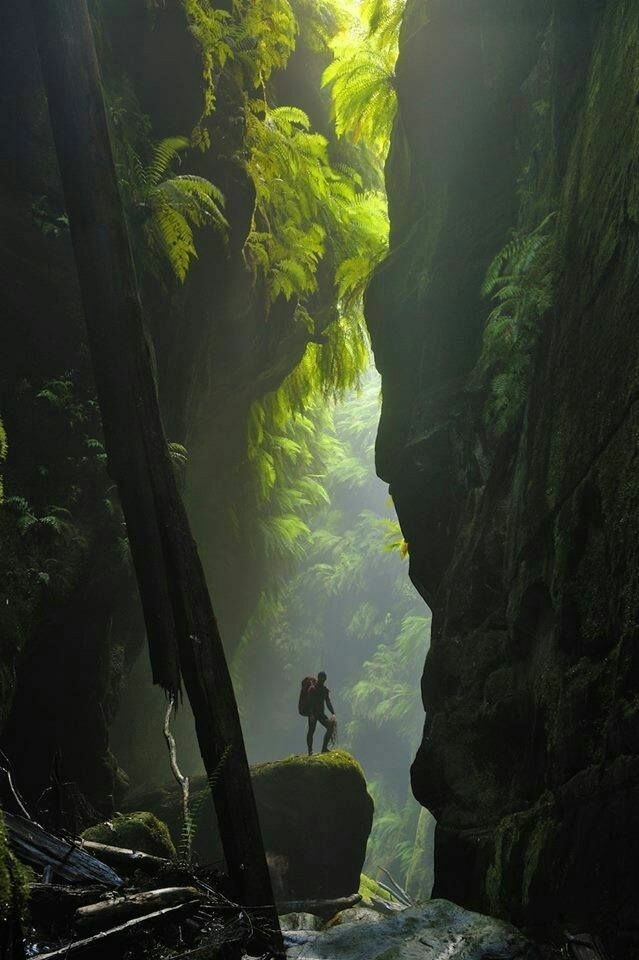 Blue Mountains, Australia