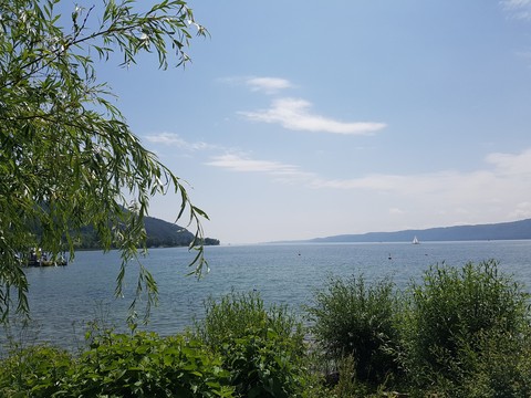 Bodensee