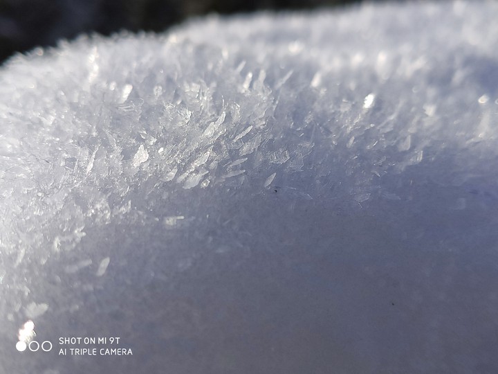 frost