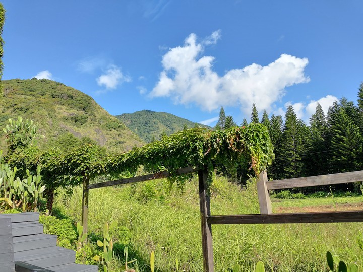 beautiful day