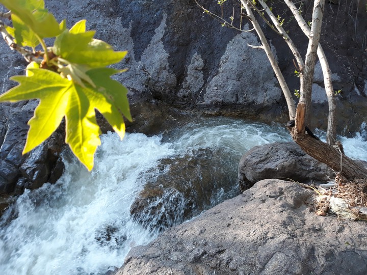 رودخانه