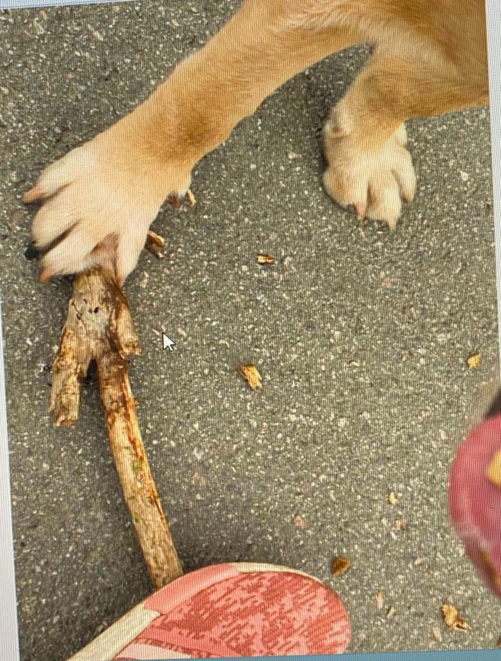 .