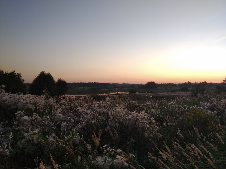 Romantic sunset