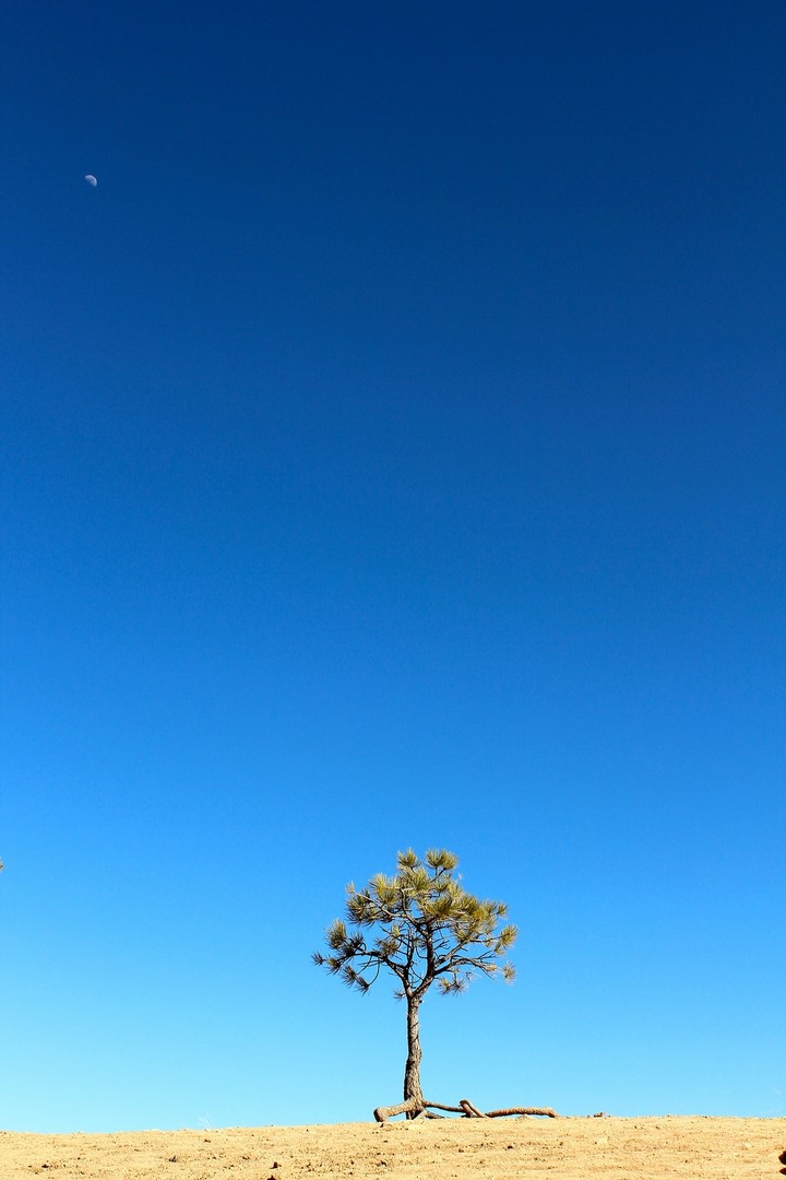 lonely