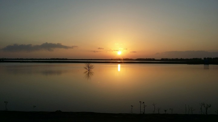 sunset