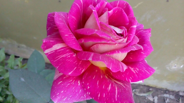 for u...☺