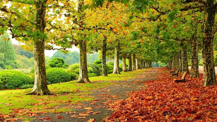 Nature