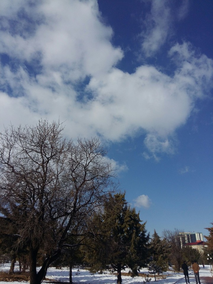 Kış/Winter