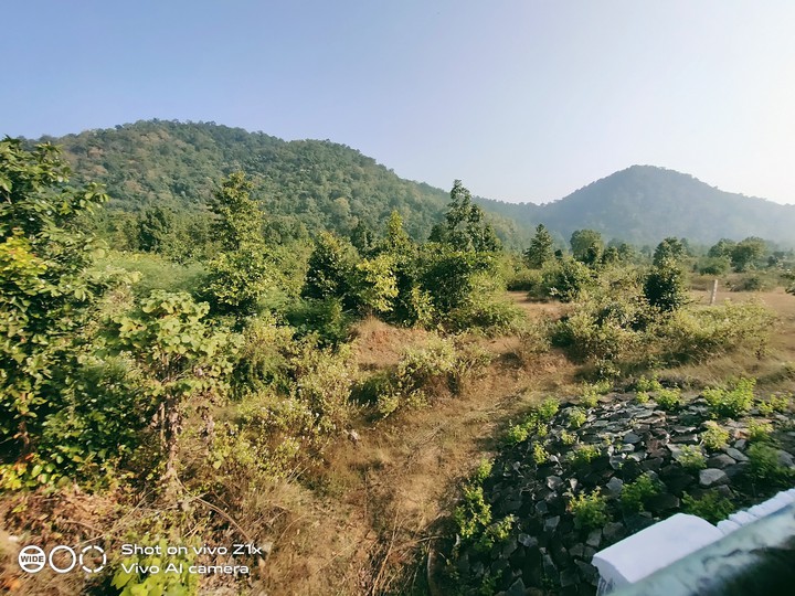 Nature