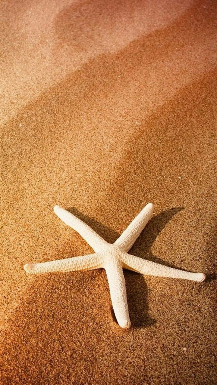 Starfish