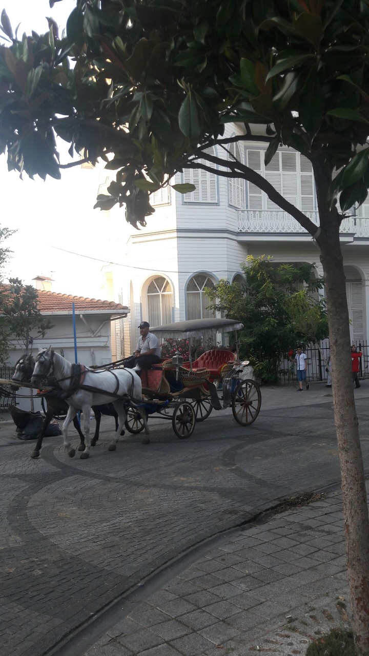 Büyükada  Faytonları