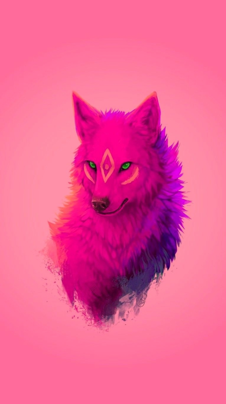 Colorful Fox