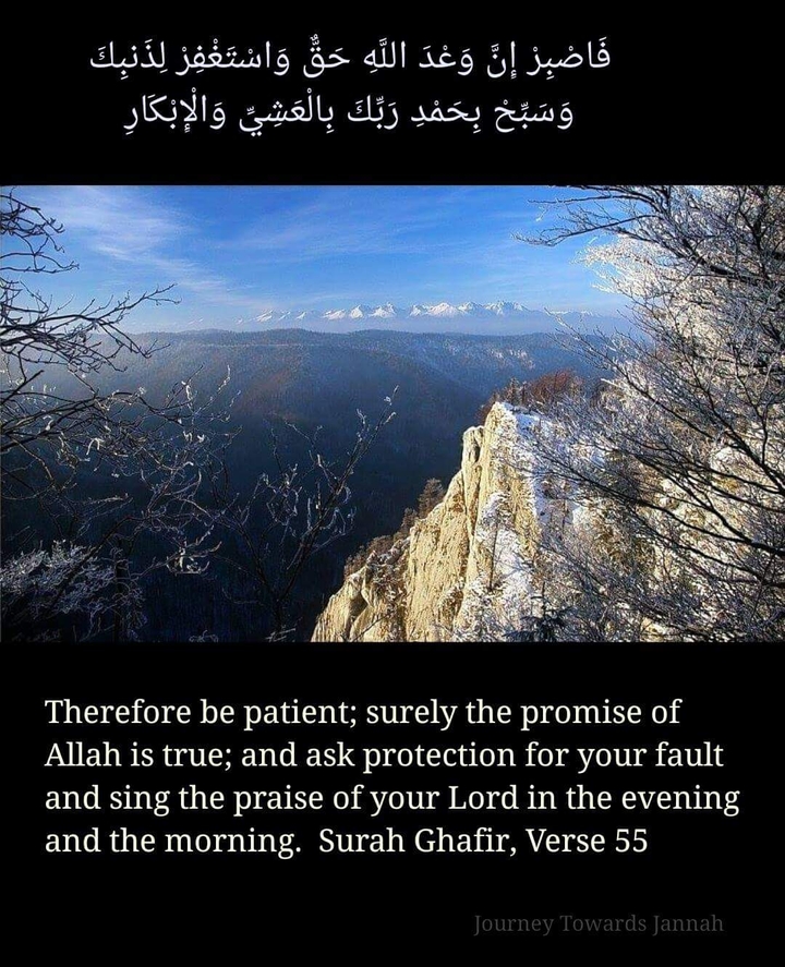 Journey Towards Jannah