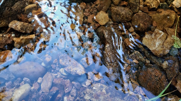 Clear water