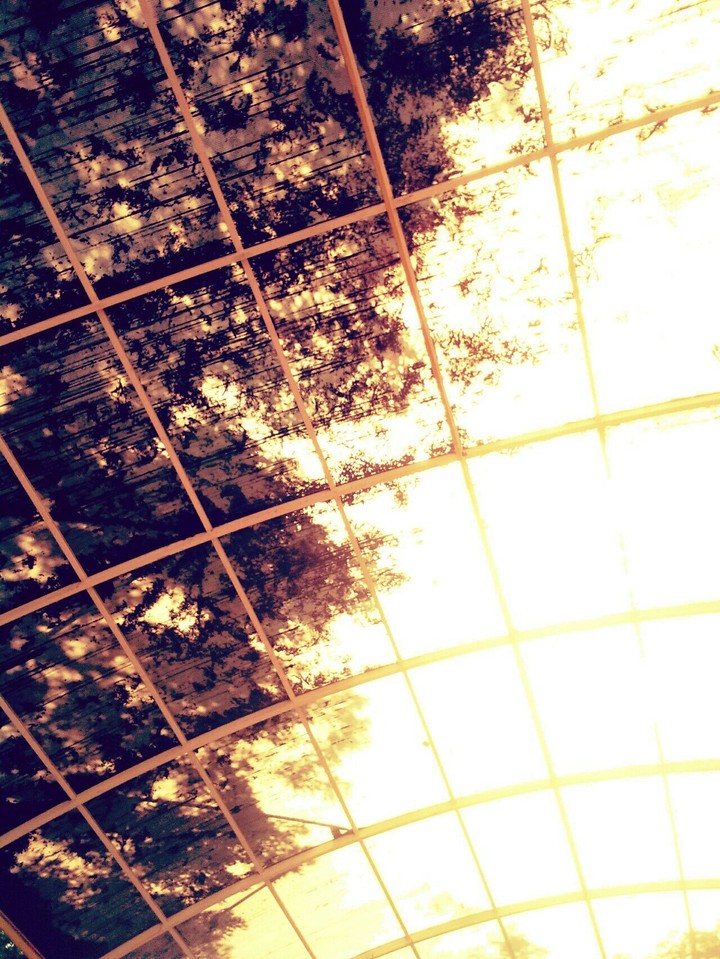 ceiling