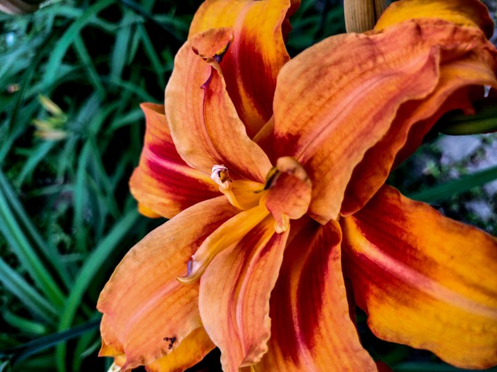 Blooming the Life out of it
