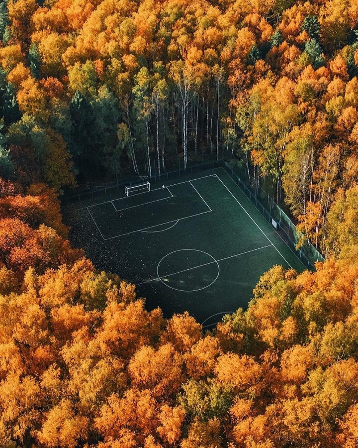 осень