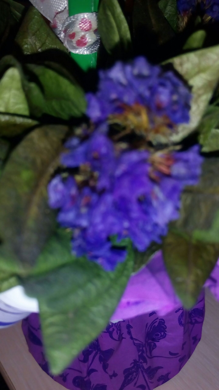flover