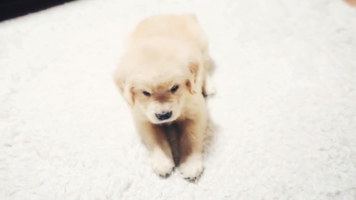 Cute!
