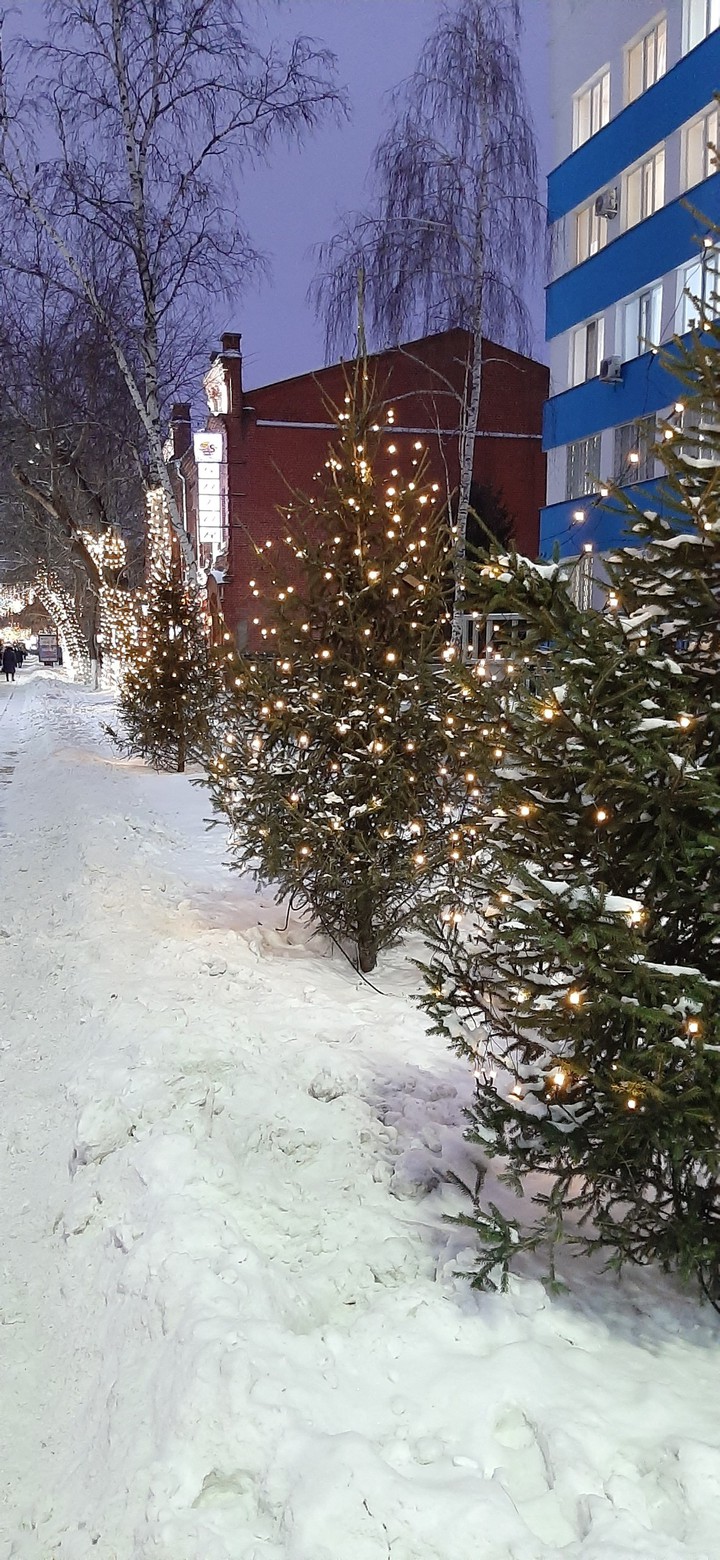christmas tree