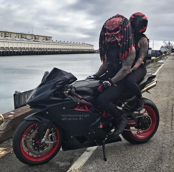 predator