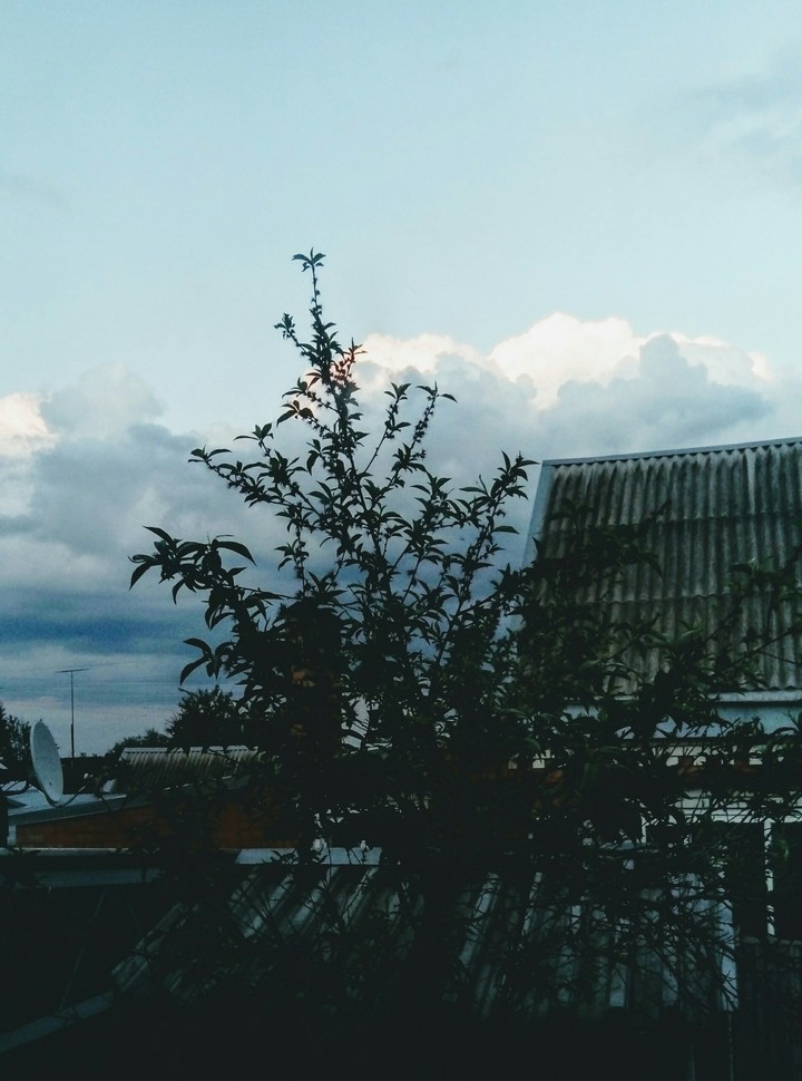 sky