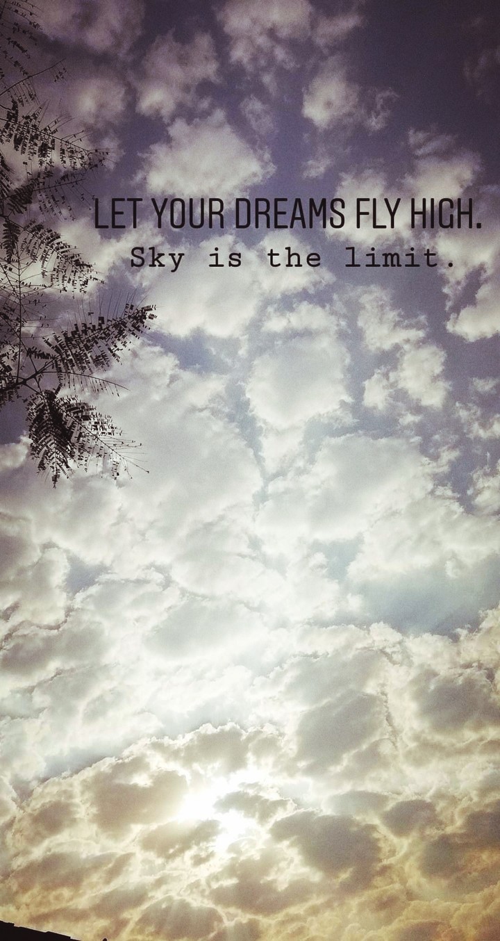 Dreams to fly high
