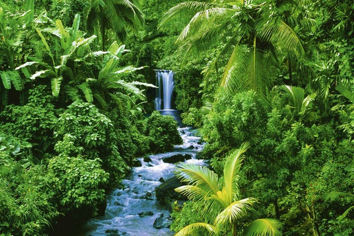 nature
