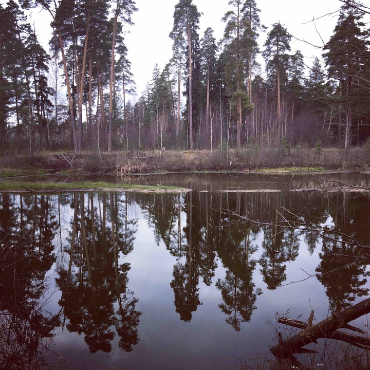 mirror
