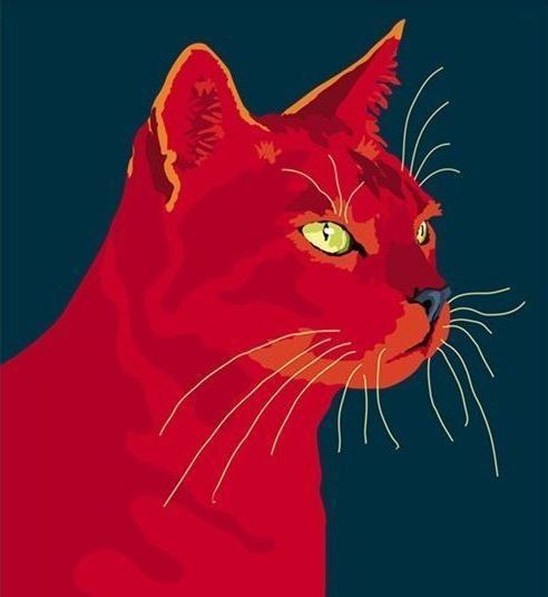 красный кот