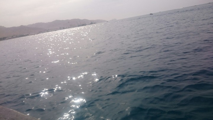 moayyad